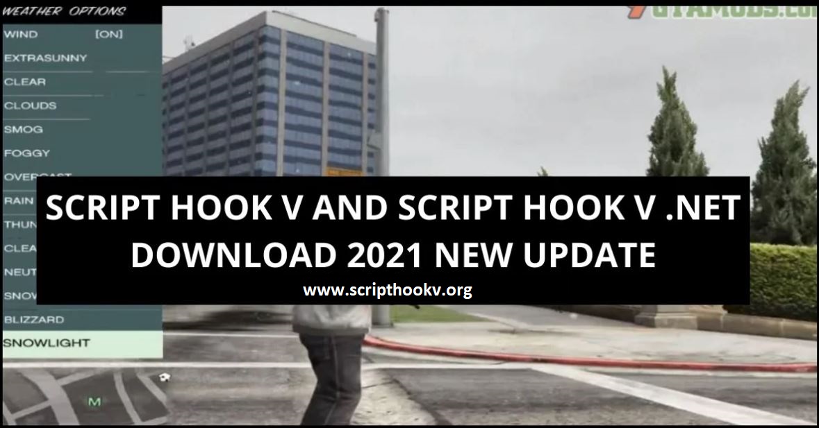 script hook v crashing after mod removed